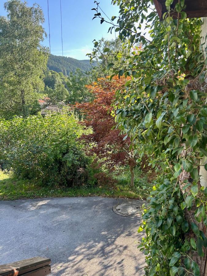 Apartment Huberspitz - Ruhe, Berge & Natur Хаусхам Экстерьер фото